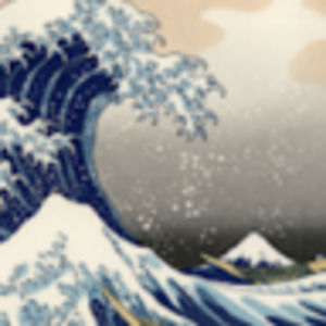 Meet your Posher, Sofia